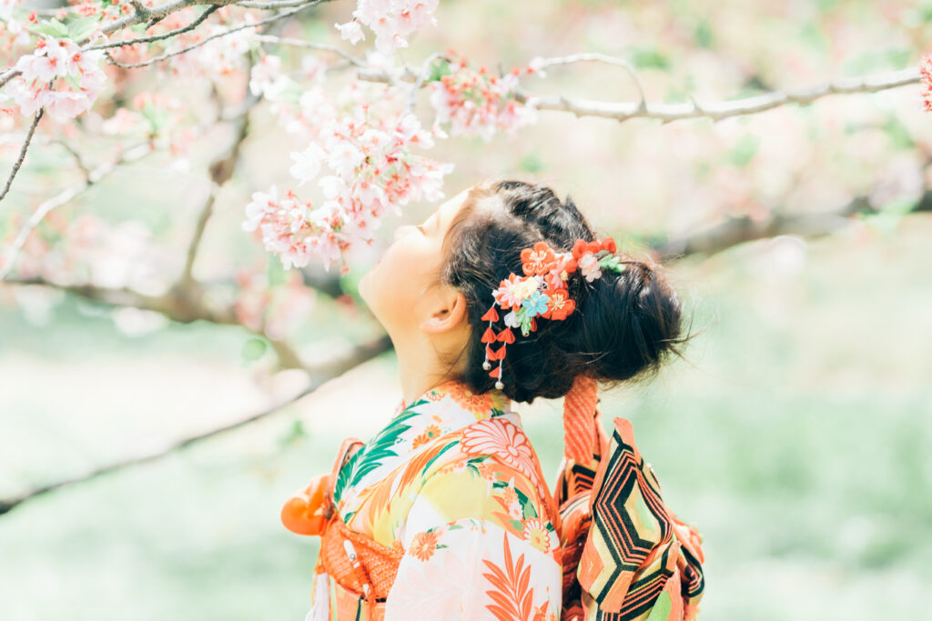 東京　七五三出張撮影　桜