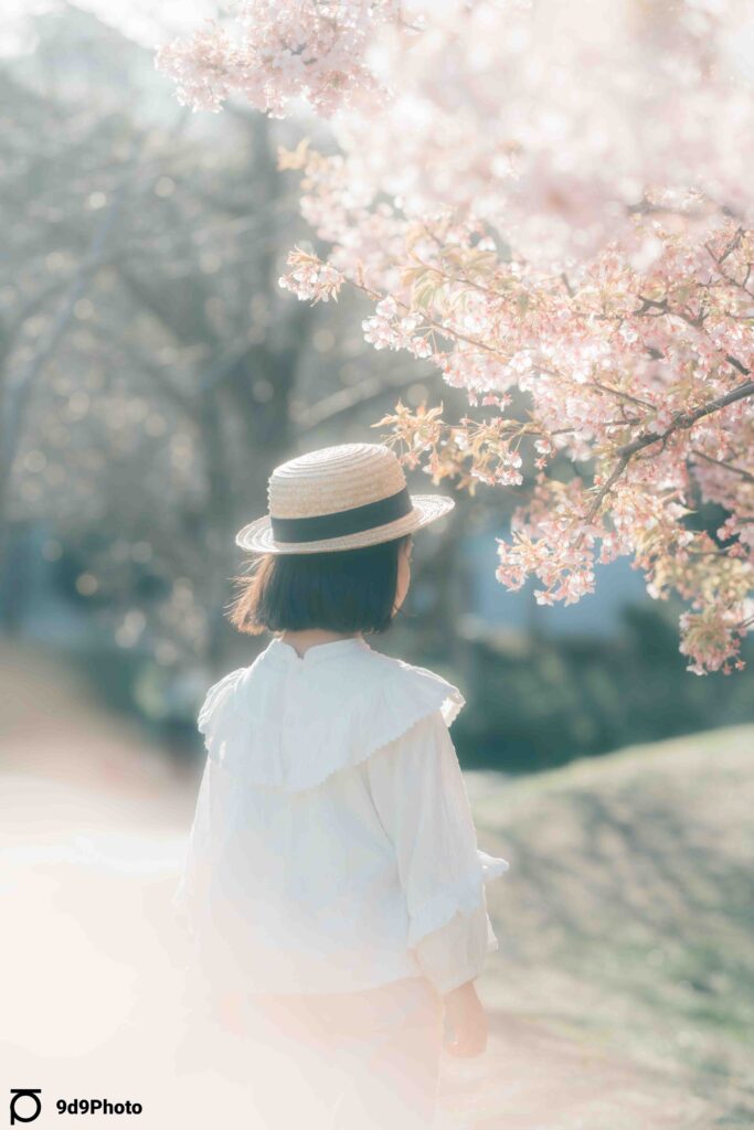 桃井原っぱ公園の桜