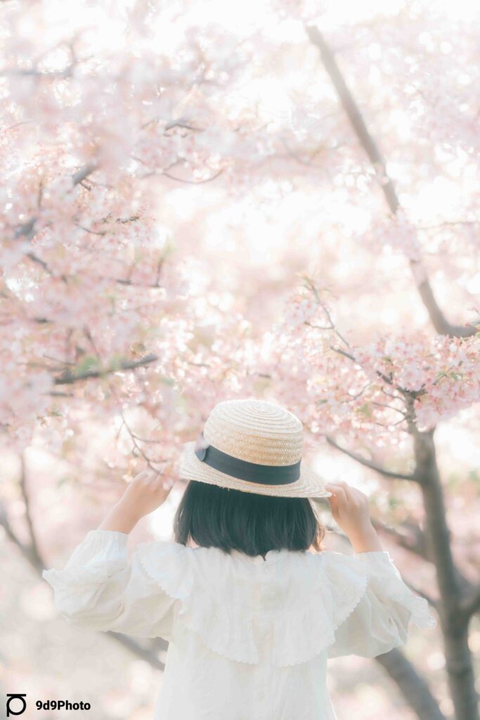 桃井原っぱ公園の桜